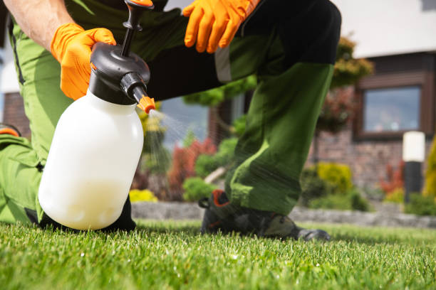 Trusted Danville, VA Pest Control Experts