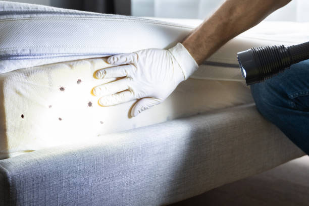 Best Best Pest Control Companies  in Danville, VA