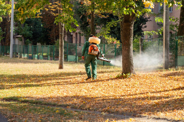 Best Best Pest Control Companies  in Danville, VA