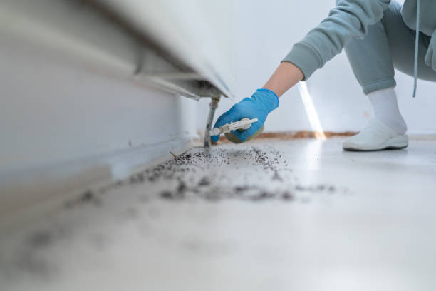 Best Best Pest Control Near Me  in Danville, VA